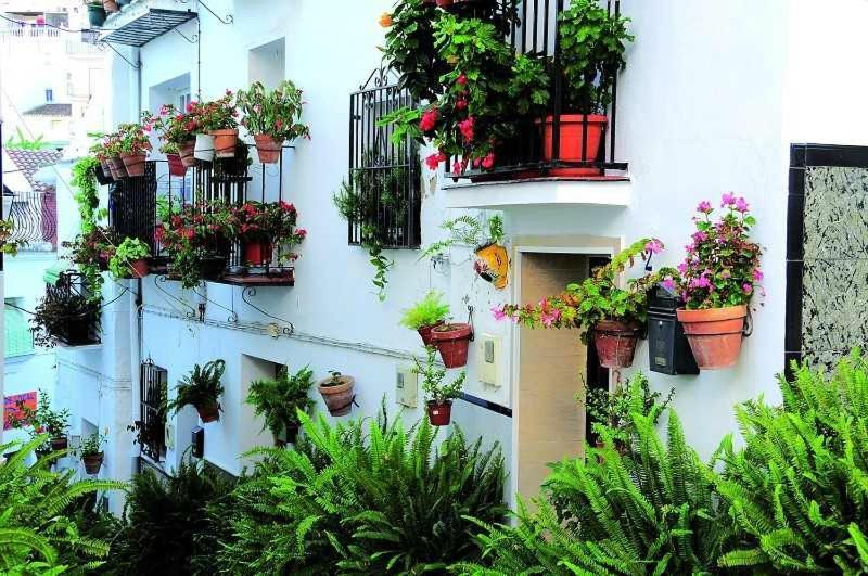 La Viajera Apartment Algarrobo Exterior photo